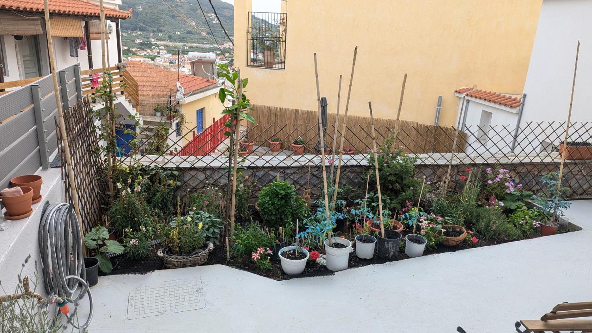 The Botanist Guesthouse Skópelos Eksteriør bilde